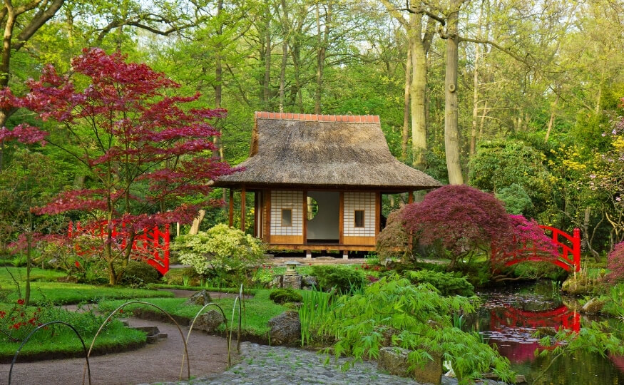 Herbaciany ogród w stylu japońskim - Agrol ogrody, projekty, realizacje. Łódź, woj. łódzkie
