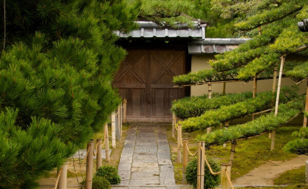 Ogród w stylu japońskim herbaciany - Agrol ogrody, projekty, realizacje. Łódź, woj. łódzkie