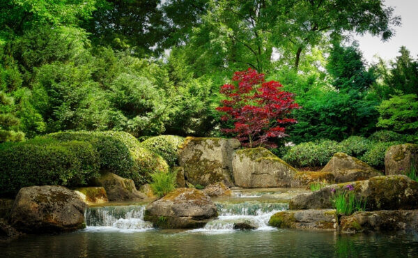 Ogród w stylu japońskim Tsukiyama - Agrol ogrody, projekty, realizacje. Łódź, woj. łódzkie