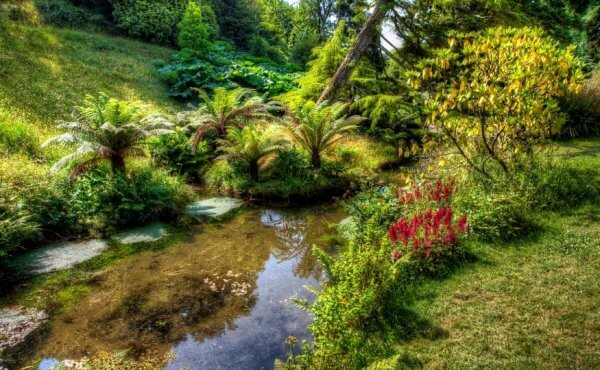 Agrol Ogrody - Ogród w stylu angielskim czyli upodobanie do naturalnego krajobrazu