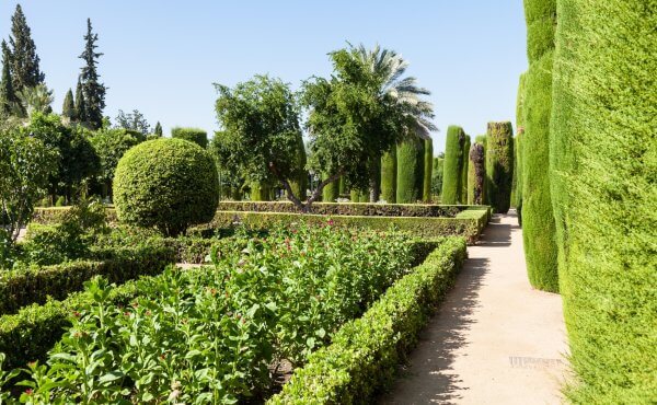 Agrol Ogrody - Ogród w stylu włoskim - roślinność, zieleń